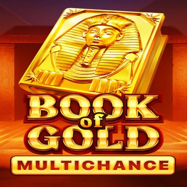 Book of Gold Multichance logo by Playson at DublinBet Casino
